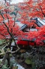 av麻豆剧场在线观看-多媒体平台广播电视的未来轮廓，推动AV麻豆剧场在线观看的多元化与互动性