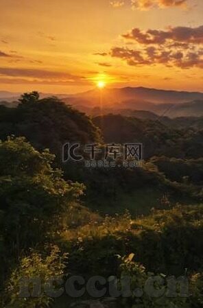 大象传媒9x视频-大象传媒9x视频，重塑娱乐边界的数字浪潮