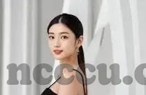 国产精品视频麻豆影视-国产剧集新风尚，麻豆影视——细腻演绎，文化自信的绽放