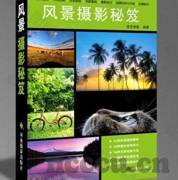 麻豆传媒91av-麻豆传媒91av的背景研究及其在成人娱乐行业的影响分析