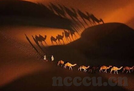 麻豆传文化传媒网站入口免费-探索网络文化的璀璨门户，麻豆传文化传媒的免费之旅