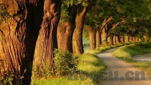 麻豆剧场av-麻豆剧场AV，艺术与色情之边界探索