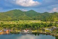 日韩av先锋手机在线观看-探索日韩AV先锋手机在线观看的多元视角与文化交融