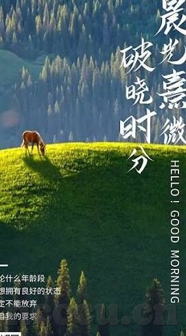 糖心vlog传媒金善雅-切入年轻人潮流的新视角，糖心VLOG传媒的金善雅现象