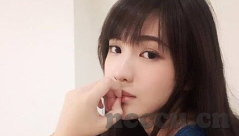 中文字幕无线码一区二区-探索中文网络文化的多元维度，一区二区的中文字幕现象